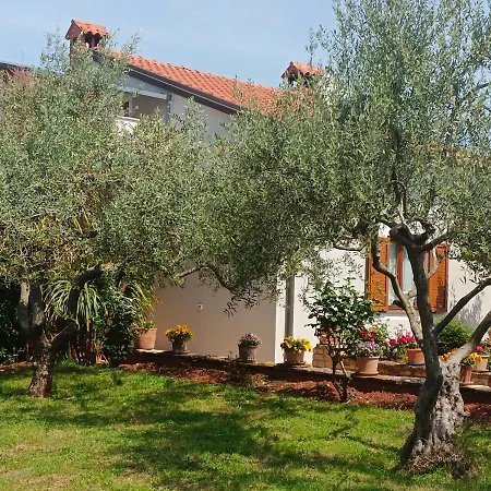 Analaura Umag