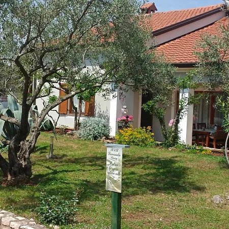 Analaura אומאג
